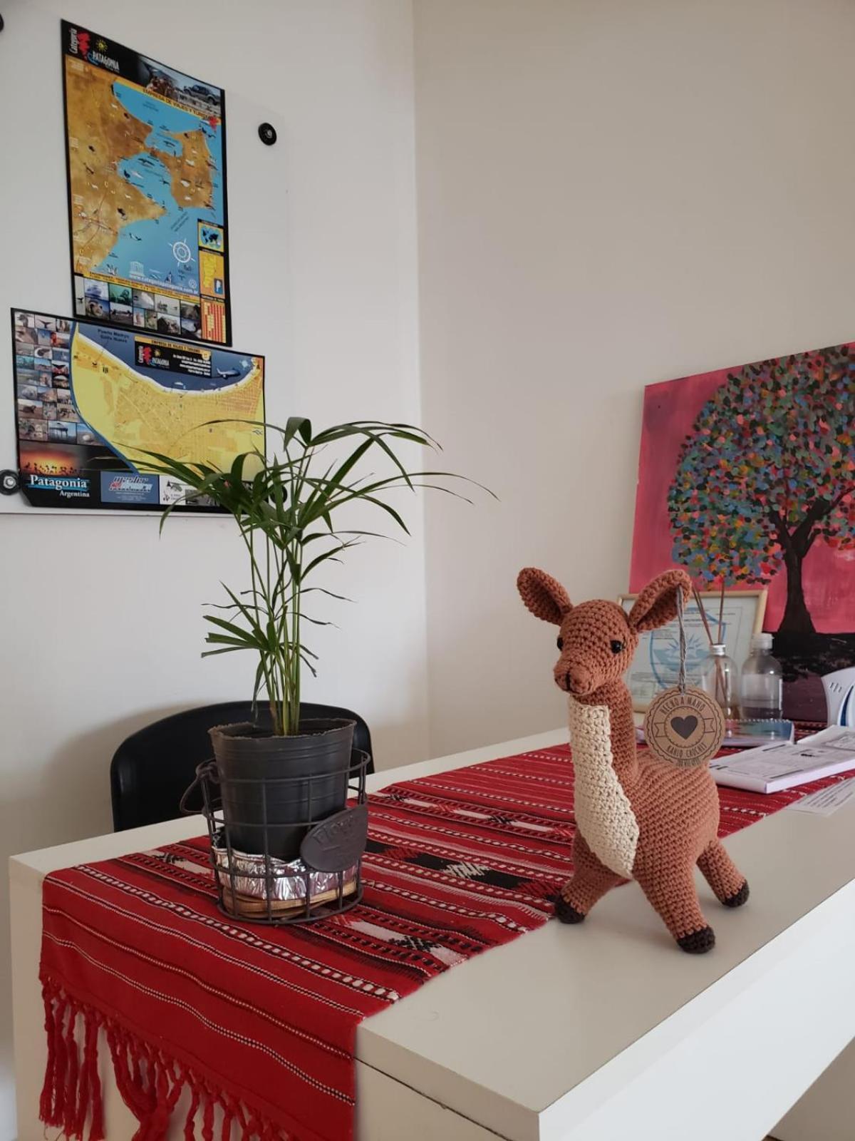 بويرتو مادرين Guanaco Hostel المظهر الخارجي الصورة